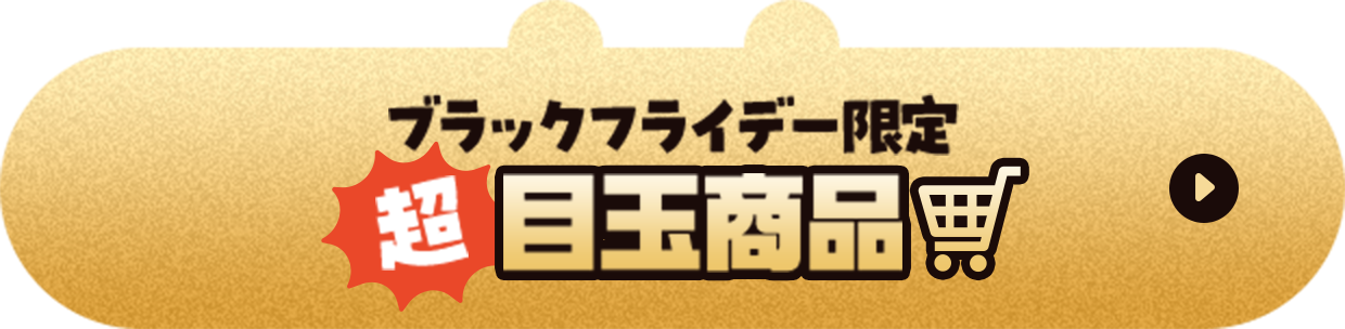 ブラックフライデー限定 超目玉商品